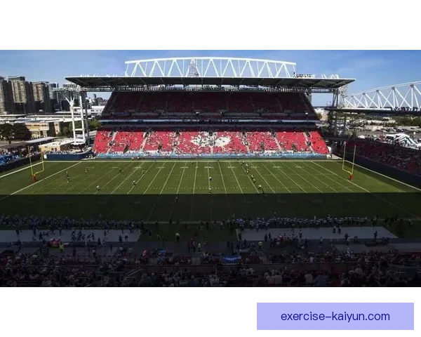 世界杯球场稳步推进，预计将在比赛前完成各项准备工作